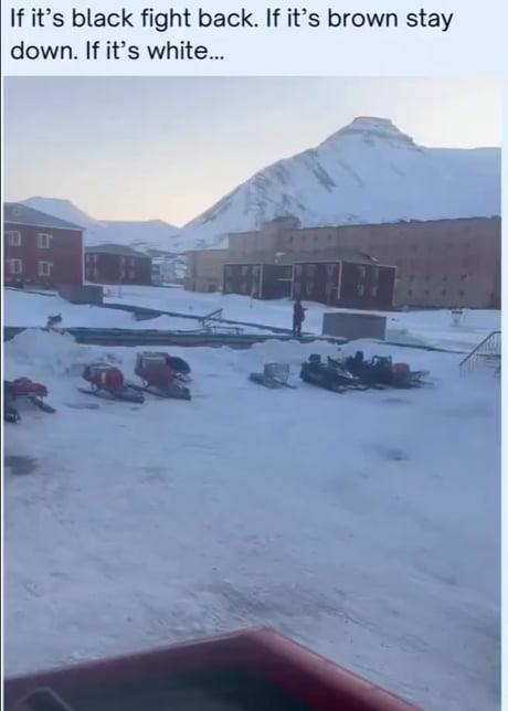 He should've worn brown pants