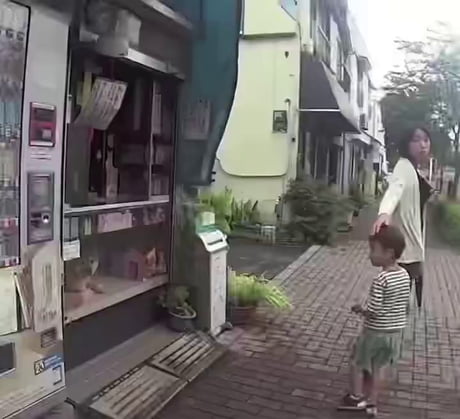 This is Shiba-san, the legendary Shiba Inu who 