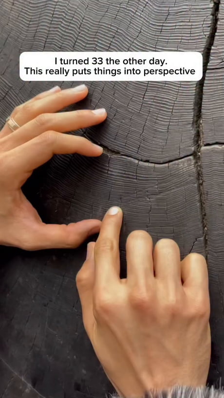 This man is showing his own age on the tree, he is 33 years old... It’s wild to think about how trees mark their years in rings. This redwood was cut down in the 1950s