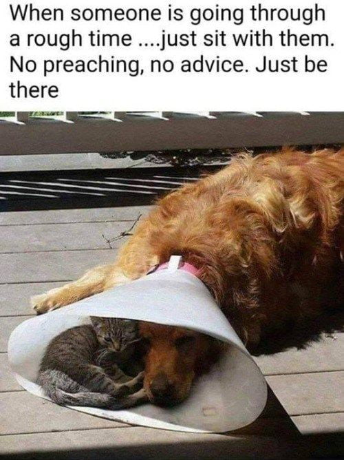 Friend in need