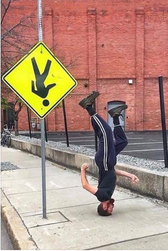 ɹǝpunuʍop ǝlᴉɥʍuɐǝW