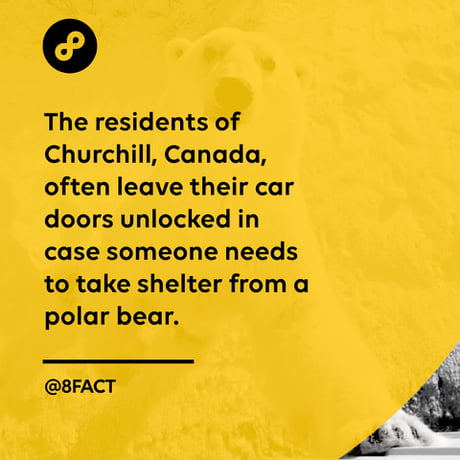 These Canadians are too trusting