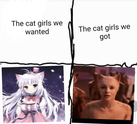 Genetically engineered catgirls. Expectations vs reality. - iFunny Brazil