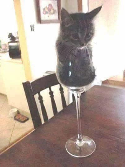 If it sits, i fits