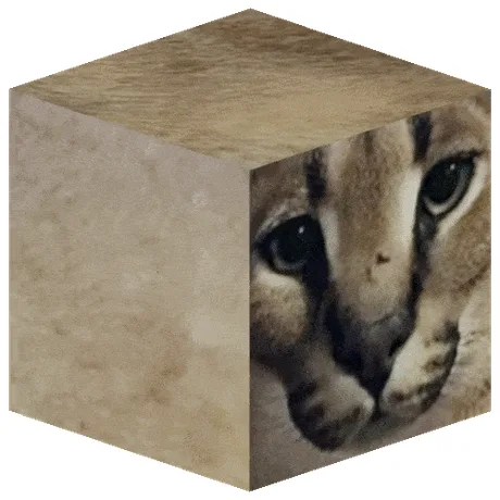 Floppa Cube 