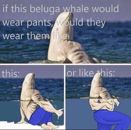 Pull up your pants unless - 9GAG