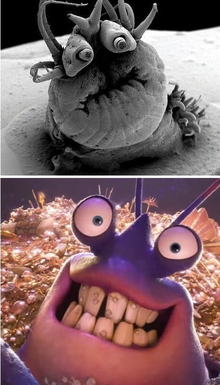Best 30 Tamatoa Fun On 9gag