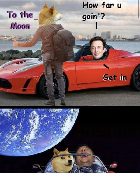 Dogecoin To The Moon / Dogecoin To The Moon Will Fund Spacex Project