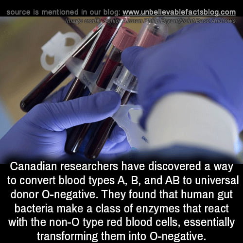 UBC researchers have found a way to convert any blood type to the universal O