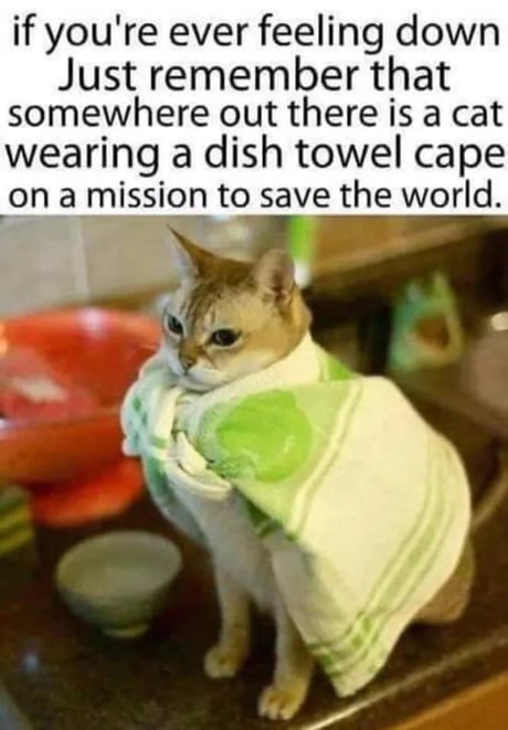 Best Funny towel Memes - 9GAG