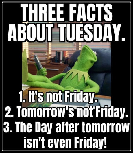 tuesday images funny