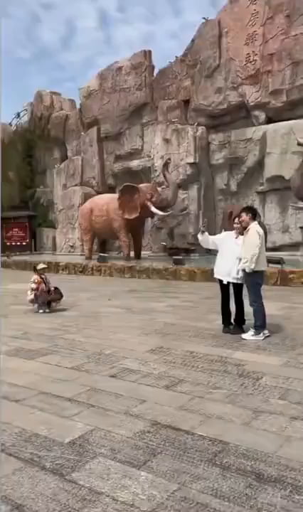 Couple taking a selfie at the zoo gif