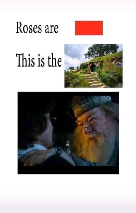 Dumbledore Goblet Of Fire Meme