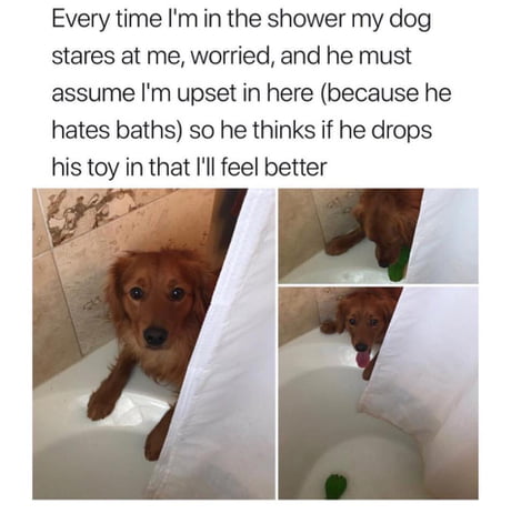 can i shower with my dog