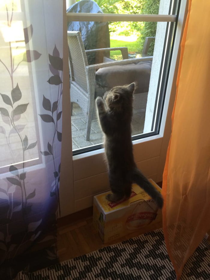 Little boy