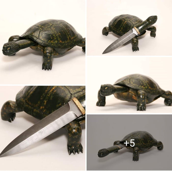 Turtle knife...