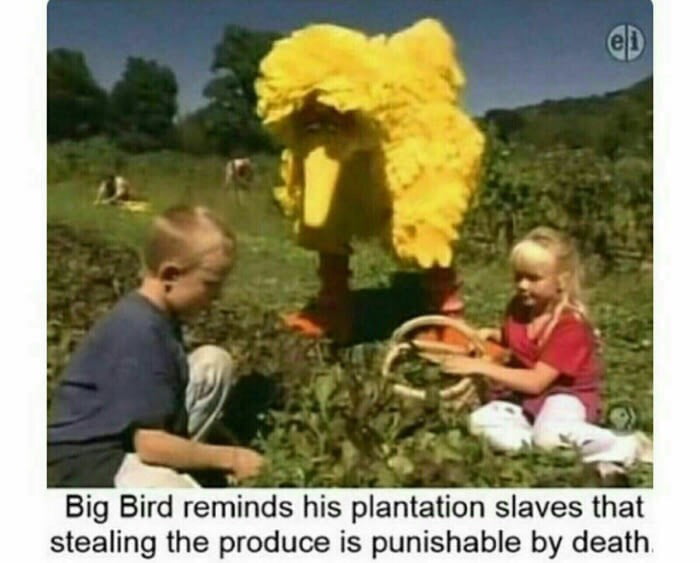 Big Bird Memes Rock - 9GAG