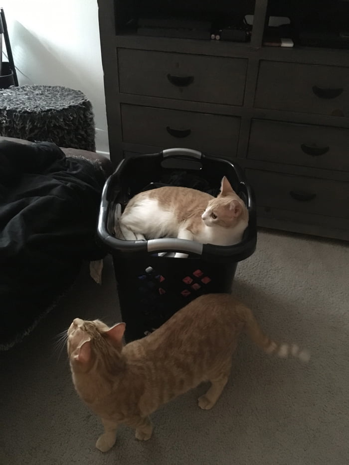 C O M F Y G U R L next to her brother