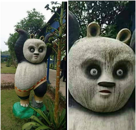 Remember the indonesian tiger? This is the panda - 9GAG Remember the indonesian tiger? This is the panda - 9GAG