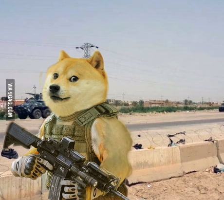 Doge Gun Meme