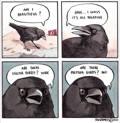 Funny Crow Pictures