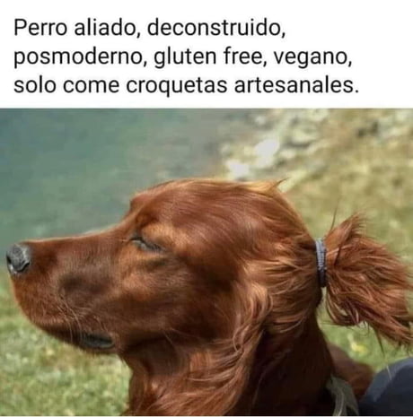 depresión perro meme