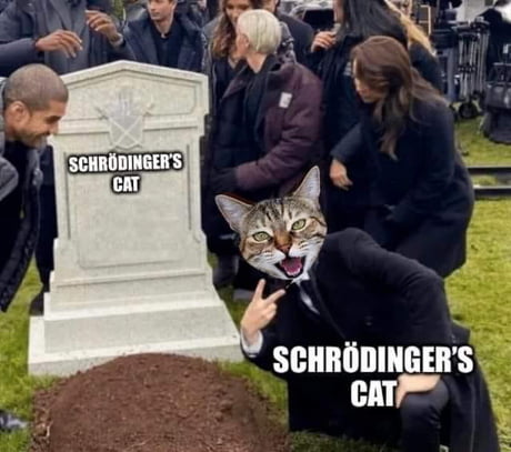 Best Funny schrödingers cat Memes - 9GAG