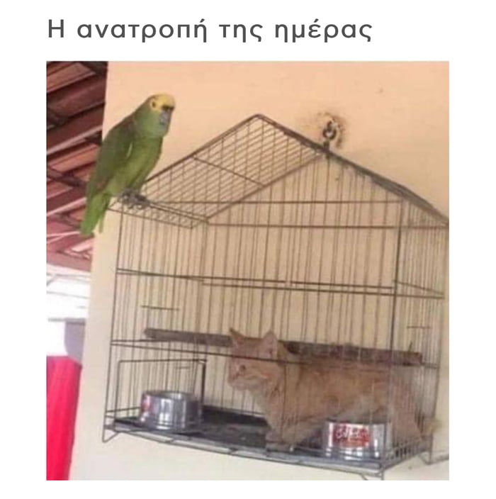 Well well, how the tables have turned 9GAG