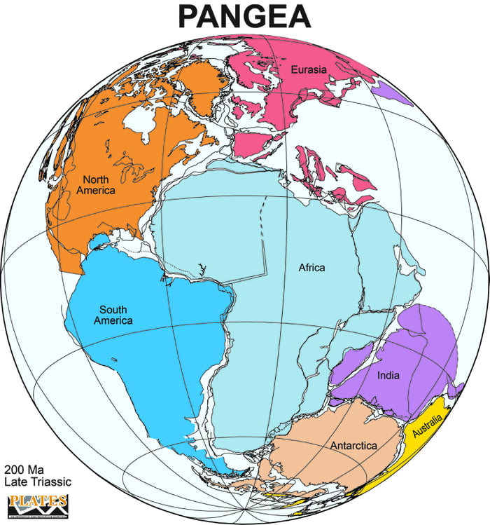 It's official. Dinosaurs annex the historical region of Pangea - 9GAG