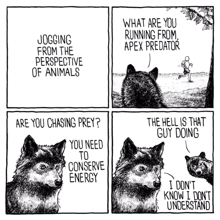 Alternative Perspective 9GAG