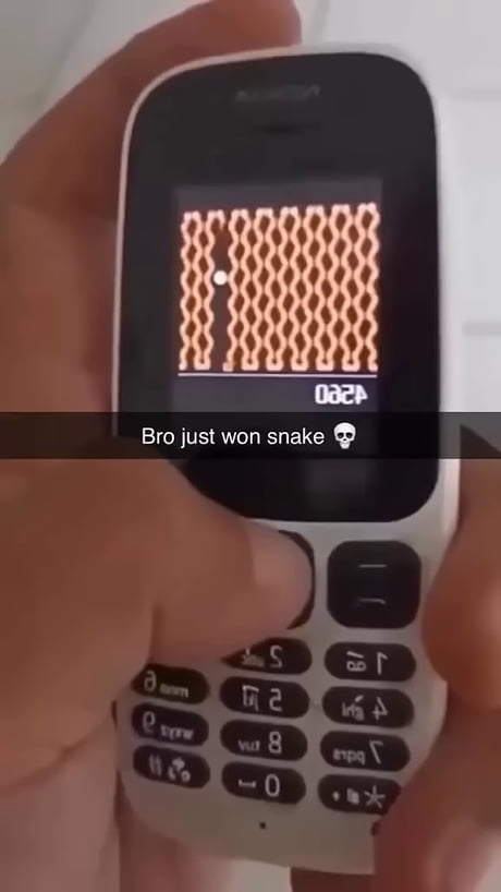 Bro won snake game