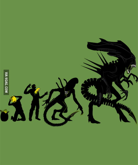 Life Cycle Of Alien