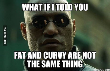 Fat curvy or 3 Difference