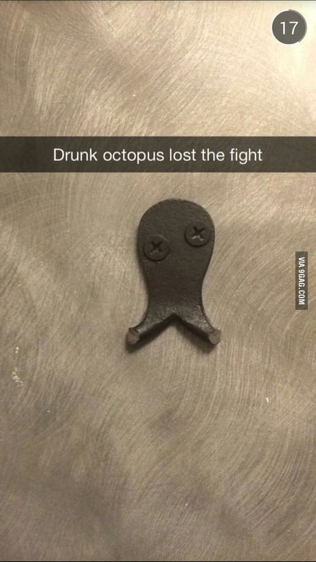 Drunk octopus lost the fight - 9GAG