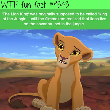 Totally not because Lion King is a Disney retelling of Japanese anime Kimba  the White Lion...(which made that mistake). - 9GAG