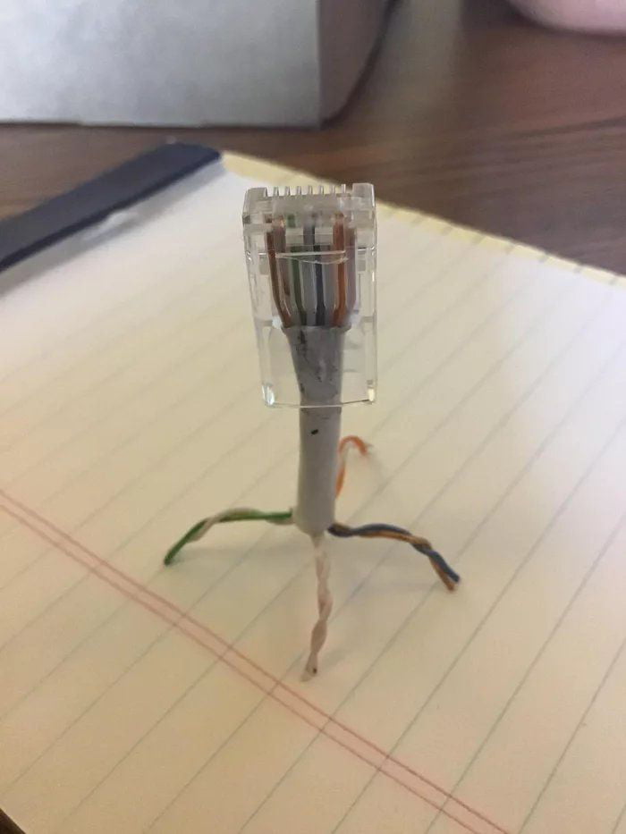Is this one of those computer viruses everyone is talking about?