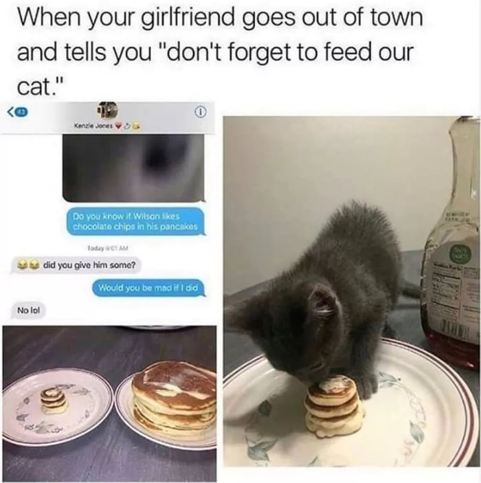I'd so do this!