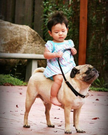 Onward noble steed
