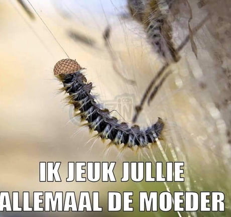 Random Moeder Je Moeder Memes Je Moeder...