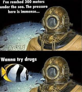 All the cool kids do it