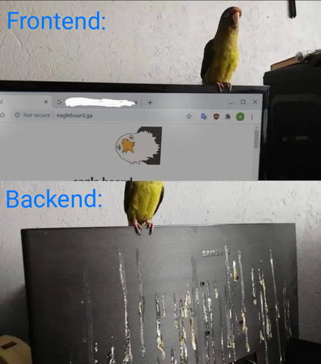 Best Funny backend Memes - 9GAG