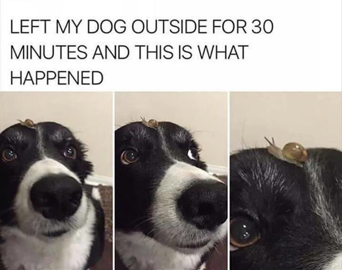 Every single frame of this is perfect 9gag