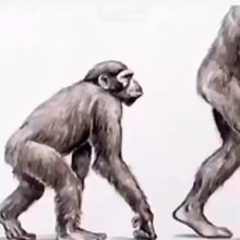 Monke Monke Monke - 9GAG