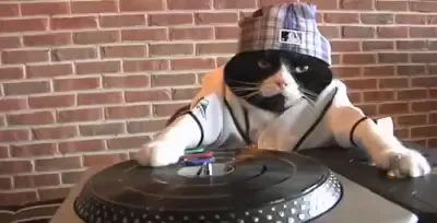 DJ Kitty Meme Generator - Imgflip