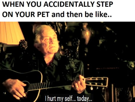LuckyOllie - 9GAG