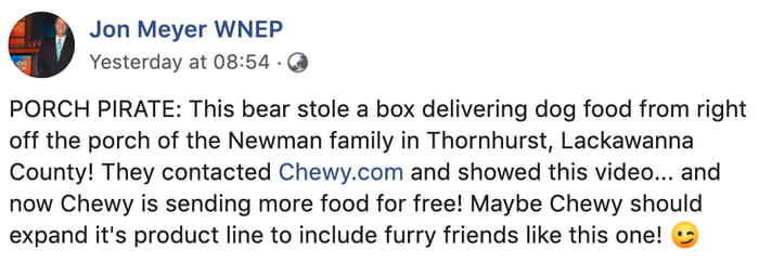 bear steals chewy box