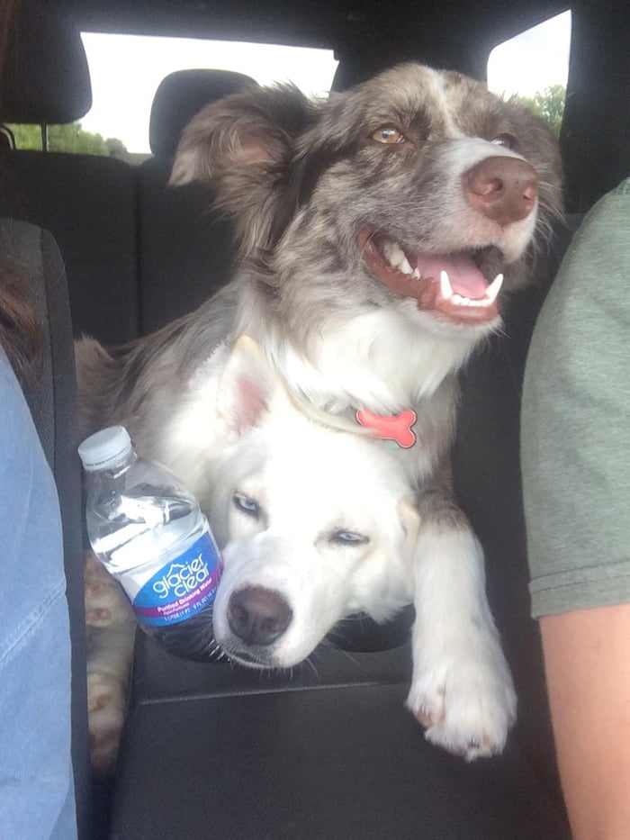 Yin and Yang