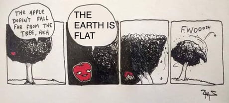 New Meme Material The Apple Doesn T Fall Far From The Tree 9gag