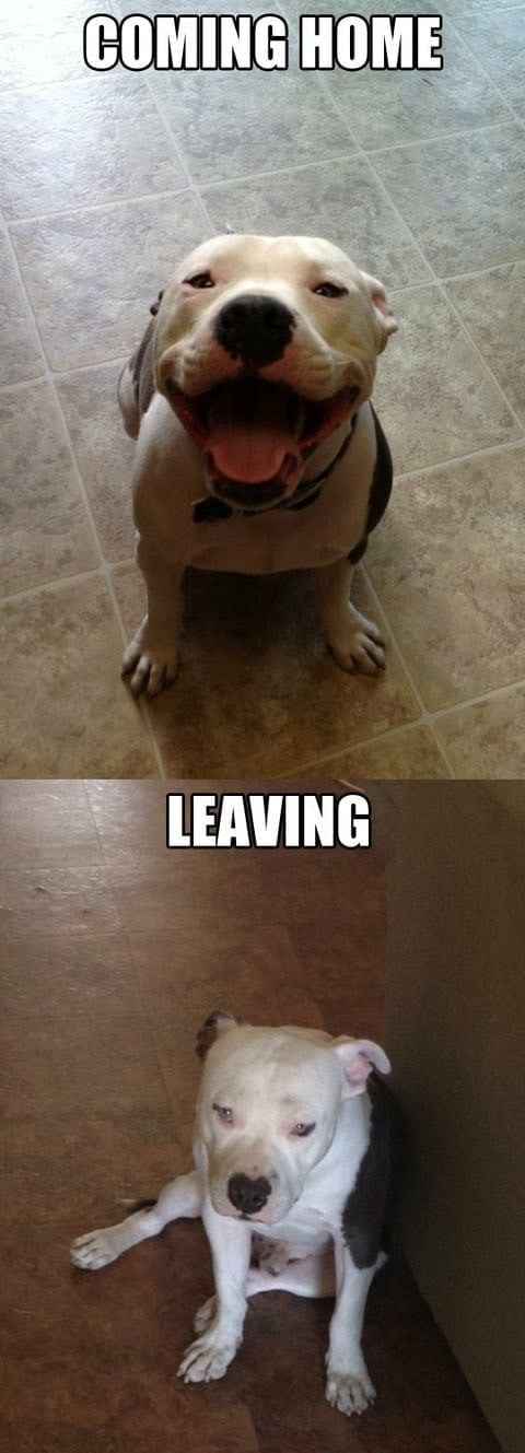 I guess that I can never leave again.