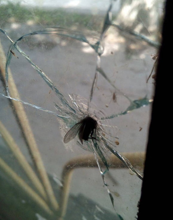 Supersonic fly, still not enough